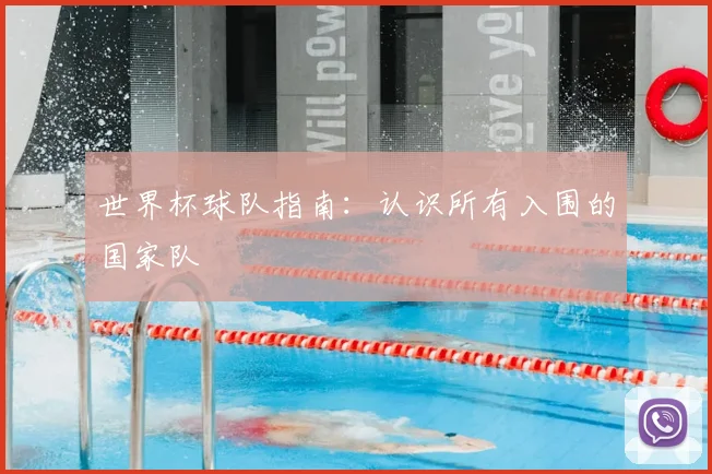 世界杯球队指南:认识所有入围的国家队