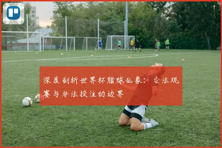 深度剖析世界杯赌球乱象：合法观赛与非法投注的边界